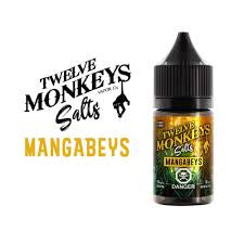 12 Monkeys Mangabeys Salt